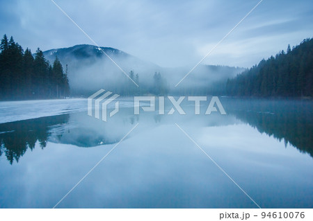 Misty landscape with fir forest in hipster vintage retro style Misty landscape with fir forest in hipster vintage retro style 94610076