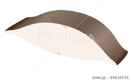 カレイの切り身のイラスト 94610556