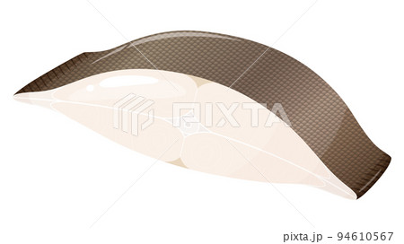 カレイの切り身のイラスト 94610567