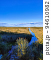 View of a large crayfish lake. State Natural Reserve Cancer Lakes , St. Petersburg 94610982