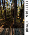 Eco path wooden walkway in the forest. Ecological trail path. Wooden path in the National reserve Crayfish lakes 94611311