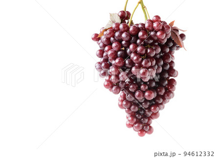 Champagne grapes isolated on white background Champagne grapes isolated on white background 94612332