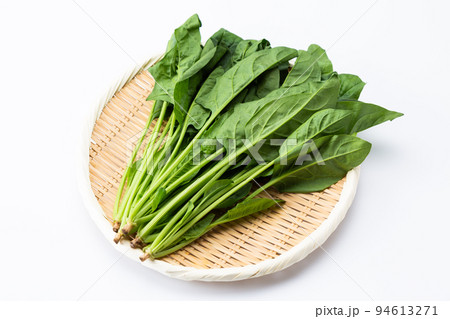 ほうれん草 94613271