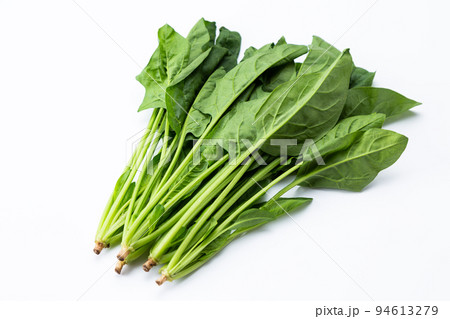 ほうれん草 94613279