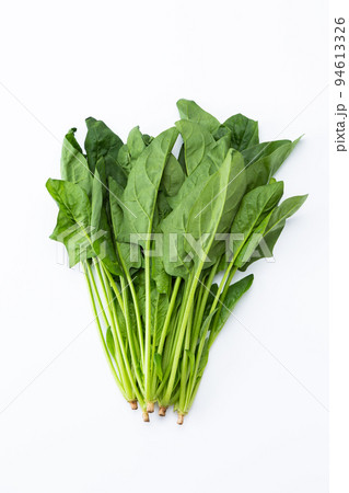 ほうれん草 94613326