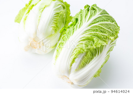 白菜 白菜 94614024
