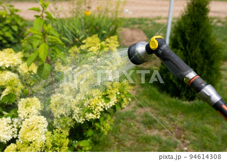 watering plants in the garden with a garden hose and sprinkler watering plants in the garden with a garden hose and sprinkler 94614308