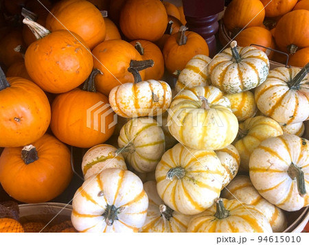 ハロウィーン、ミニカボチャのアップ 94615010