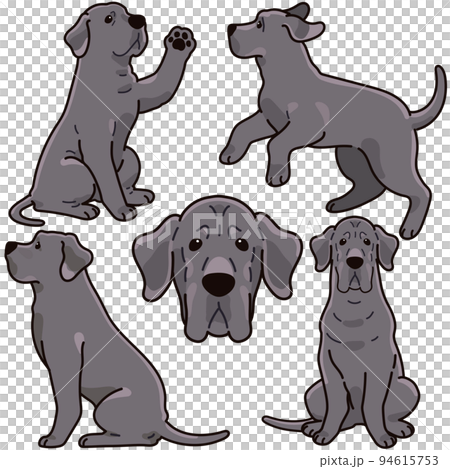 Simple and cute Great Dane illustration set with main lines Simple and cute Great Dane illustration set with main lines 94615753