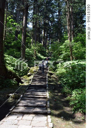羽黒山の杉並木 羽黒山の杉並木 94616390