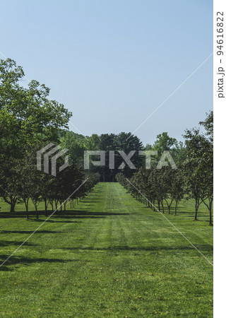 Apple trees alley park garden outdoor summer landscape, New Jersey Botanical Garden 94616822