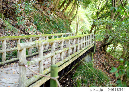 須雲川自然探勝歩道　 94618544