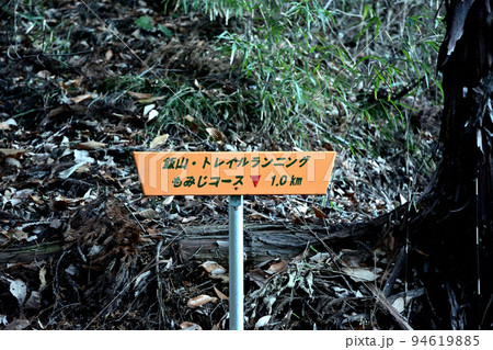 飯山白山森林公園のトレッキングコース 94619885
