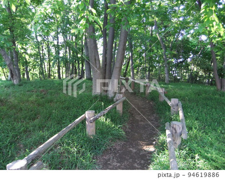 林 木陰 階段 林 木陰 階段 94619886