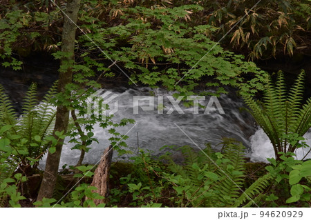 東北　岩手県一関の　厳美渓　周辺の　風景 94620929