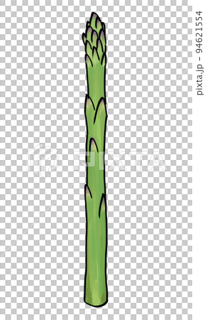 グリーンアスパラガス グリーンアスパラガス 94621554