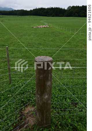 東北　岩手県　滝沢市　雫石町の小岩井農場 94621606