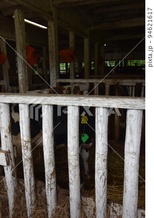 東北　岩手県　滝沢市　雫石町の小岩井農場 94621617