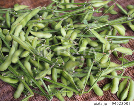 枝豆の収穫 枝豆の収穫 94622002