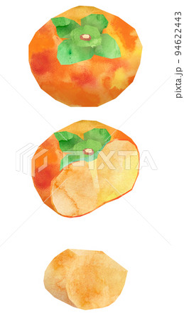 柿3・種なしイラストセット 94622443