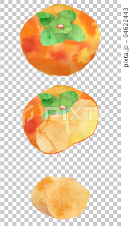 柿3・種なしイラストセット 94622443