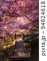 滑り台の上を桜のトンネルが覆う美しい光景 94624618