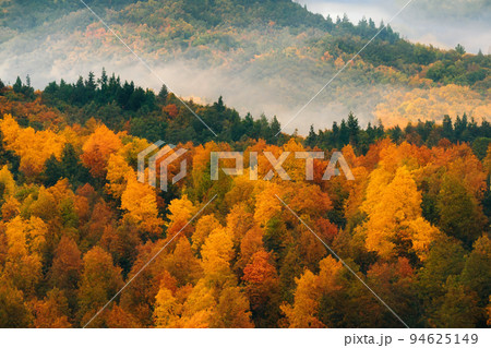 絵画 イラスト 秋 紅葉 山 自然 森 風景のイラスト素材 絵画 イラスト 秋 紅葉 山 自然 森 風景のイラスト素材