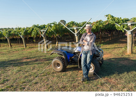 Winemaker in straw hat standing near quad bike Winemaker in straw hat standing near quad bike 94625253