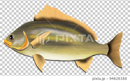 夏に美味しい魚イサキのイラスト 94626388