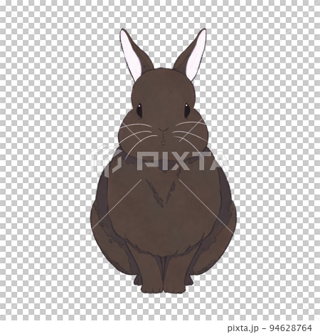 Dark brown rabbit expression (no expression) 94628764