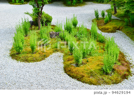 京都 廬山寺 源氏庭 京都 廬山寺 源氏庭 94629194