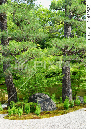 京都 廬山寺 源氏庭 京都 廬山寺 源氏庭 94629329