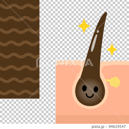 Cuticle image and hair character 94629547