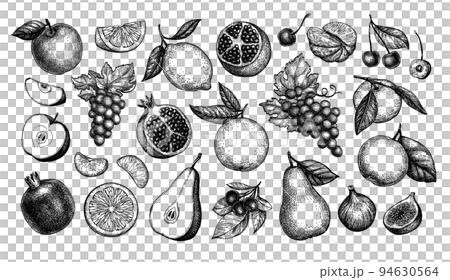 Fruits big collection. 94630564