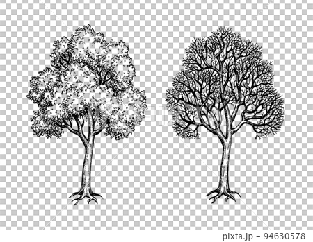 ヴィンテージ　版画　絵画　大きい絵　木立の絵　林の絵 ヴィンテージ 版画 絵画 大きい絵 木立の絵 林の絵