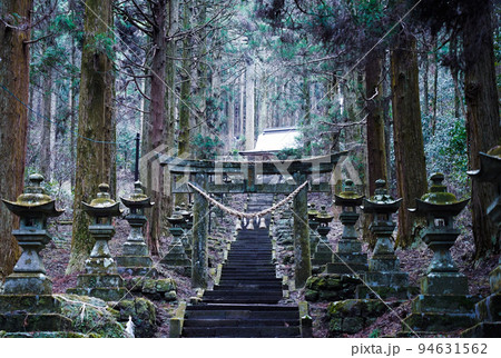 冬の上色見熊野座神社 幻想的な鳥居 冬の上色見熊野座神社 幻想的な鳥居 94631562
