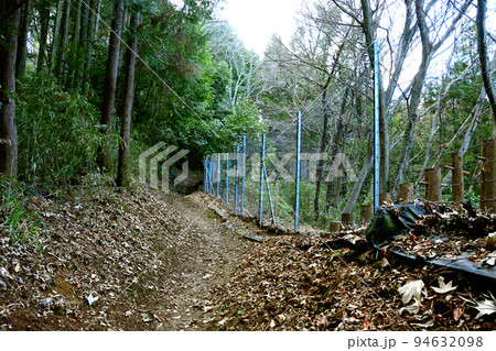 飯山白山森林公園の電気柵 94632098