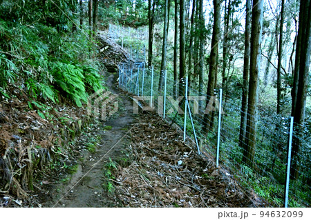 飯山白山森林公園の電気柵 飯山白山森林公園の電気柵 94632099
