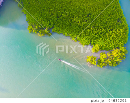 Aerial view mangrove tree forest sea bay sunrise Aerial view mangrove tree forest sea bay sunrise 94632291