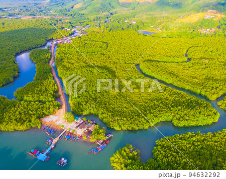 Aerial view mangrove tree forest sea bay sunrise 94632292