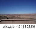 アリゾナ州　化石の森国立公園　鳥と青空 94632359