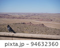 アリゾナ州　ペトリファイドフォレスト国立公園　鳥と砂漠 94632360