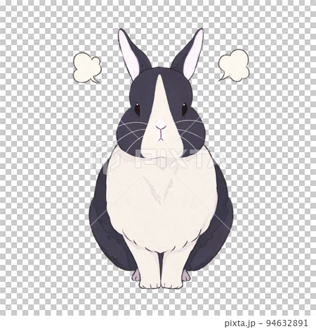 Black rabbit Dutch expression (angry) 94632891