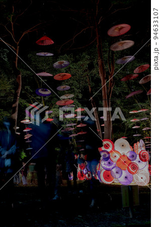 鬼怒川温泉「月あかり花回廊」 94633107