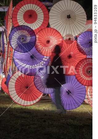 鬼怒川温泉「月あかり花回廊」 94633109