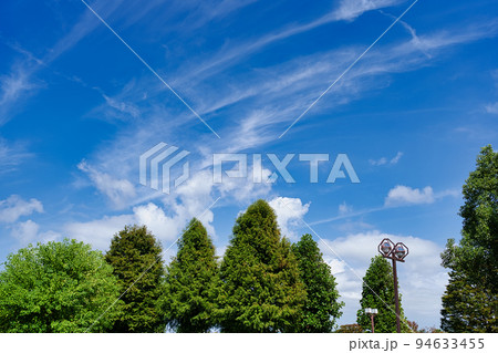 木々と青空 木々と青空 94633455