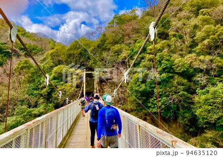 天王橋の吊り橋を渡る 94635120