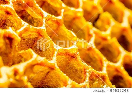 honeycomb macro honeycomb macro 94635248