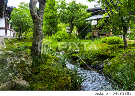 新緑の境内を流れる小川 新緑の境内を流れる小川 94635885