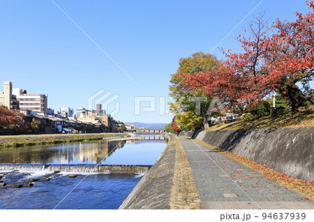 京都市 秋の鴨川 四条から三条方面 京都市 秋の鴨川 四条から三条方面 94637939